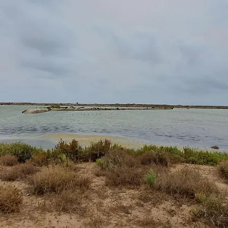 アパート Casa De Ericana Torre de la Horadada